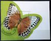 Motyle - Laos kasowany