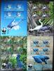 Ptaki WWF - Penrhyn czyste