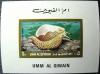 limak morski - Umm Al Qiwain czysty
