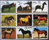 Konie - Gwinea kasowane