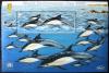 Delfiny, World Stamp Expo - Jersey czysty