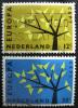HOLANDIA - Europa CEPT, drzewa kasowane