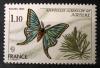 FRANCJA - Motyle czysty zdjcie pogldowe