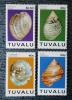 TUVALU - Muszle czyste POZYCJA DOSTPNA