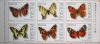 Motyle z kolekcji Instytutu Zoologii PAN w Warszawie szstka ze rodka arkusza czyste
