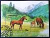 Konie - Azerbejdżan kasowany