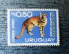 Zwierzęta - Urugwaj czysty