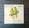 Ptaki - Mayotte czysty