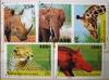 Zwierzęta - Gwinea kasowane