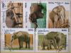 Słonie - Laos kasowane