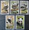 Panda - Korea kasowane