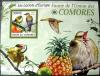Ptaki, owoce - Komory czysty