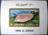 Ślimak morski - Umm Al Qiwain czysty