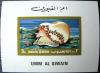 Ślimak morski - Umm Al Qiwain czysty