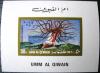 Koralowce - Umm Al Qiwain czysty