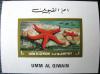 Rozgwiazdy - Umm Al Qiwain czysty