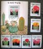 Kwiaty, kaktusy - Saharui kasowane