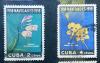 KUBA - Kwiaty kasowane zdjęcie poglądowe
