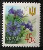 UKRAINA - Kwiaty czysty