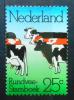HOLANDIA - Zwierzta domowe krowy czysty