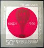 BUGARIA - Mistrzostwa wiata w pice nonej w Anglii city czysty zdjcie pogldowe