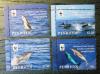 PENRHYN - Delfiny WWF czyste POZYCJA DOSTPNA