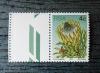 SOUTH AFRIKA - Roliny z lewym pustopolem czysty POZYCJA DOSTPNA