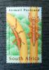 SOUTH AFRIKA - Owady czysty POZYCJA DOSTPNA