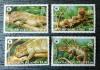 SALOMON ISLAND - Jaszczurki WWF czyste POZYCJA DOSTPNA