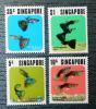 SINGAPUR - Ryby czyste POZYCJA DOSTPNA
