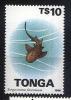 TONGA - Rekin czysty ( 90-143) POZYCJA DOSTPNA