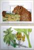 SIERRA LEONE - Fauna Flora czyste