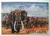 SIERRA LEONE - Słonie czysty