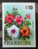 BARBUDA - Kwiaty czysty POZYCJA DOSTPNA