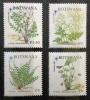 BOTSWANA - Kwiaty czyste POZYCJA DOSTĘPNA