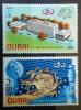 DUBAJ - Architektura, UPU czyste POZYCJA DOSTPNA