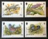 JERSEY - Gady, owady, ptaki WWF czyste POZYCJA DOSTPNA