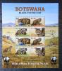 BOTSWANA - Koty WWF czysty POZYCJA DOSTĘPNA