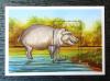 GHANA - Hipopotam czysty POZYCJA DOSTPNA