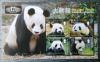 MONTSERRAT - Panda czysty POZYCJA DOSTPNA