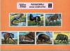 Paragwaj - Zwierzęta kasowane